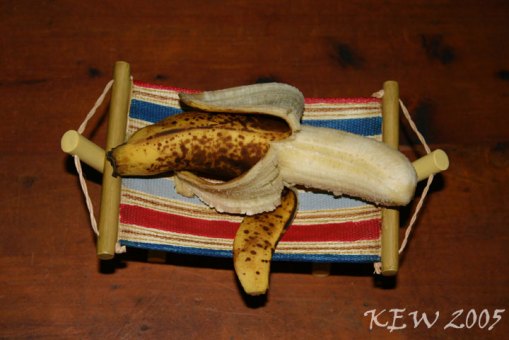 banana_hammock indoors